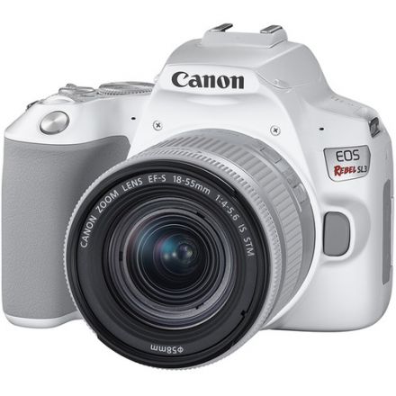 Canon EOS 250D Μηχανή Σώμα με EF-S 18-55mm IS STM Φακό (Άσπρο)